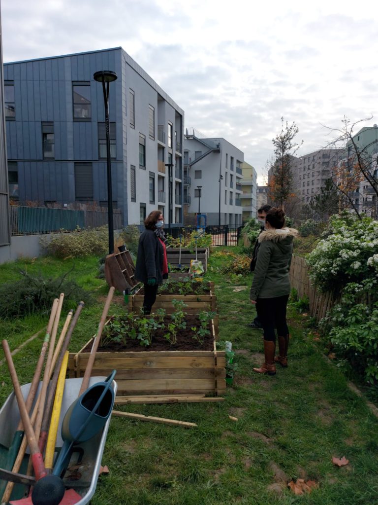 On compte désormais trois bacs potagers dans le jardin